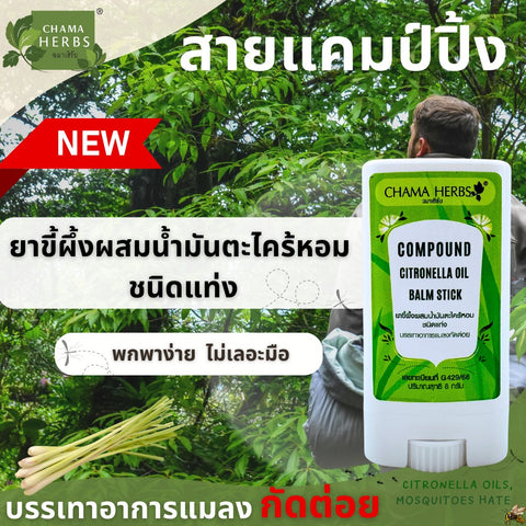 Chama Herbs Citronella Oil Balm Stick (8 g) ฉมา เฮิร์บ ยาขี้ผึ้งผสมน้ำมันตระไคร้หอม แบบสติ๊ก 8g