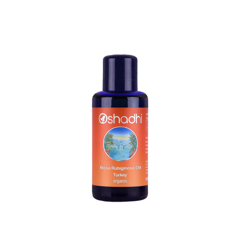 Oshadhi น้ำมันสกัดจากโรสฮิปตุรกีออร์แกนิค Rosa Rubiginosa Oil, Turkey Organic (100 ml)