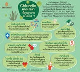 Rawganiq ผงสาหร่ายคลอเรลลาออร์แกนิค – แตกผนังเซลล์แล้ว Organic Chlorella Powder – Broken Cell (100g or 300g)