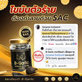 B-Garlic B Garlic Premium Natural Black Garlic - Peeled, Reay to eat (1 Bottle (60g) / Healthy Box Set (60 g x 6 pcs)) บี กาลิค กระเทียมดำแบบแกะเปลือกพร้อมทาน