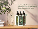 Phutawan Aromatherapy Concentrated Air Spray (100 ml) ภูตะวัน สเปรย์ปรับอากาศอโรม่า 100ml - Organic Pavilion