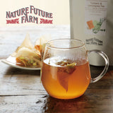 Nature Future Farm Organic Tea เนเจอร์ฟิวเจอร์ฟาร์ม ชาออร์แกนิค (10 Tea Bags) - Organic Pavilion